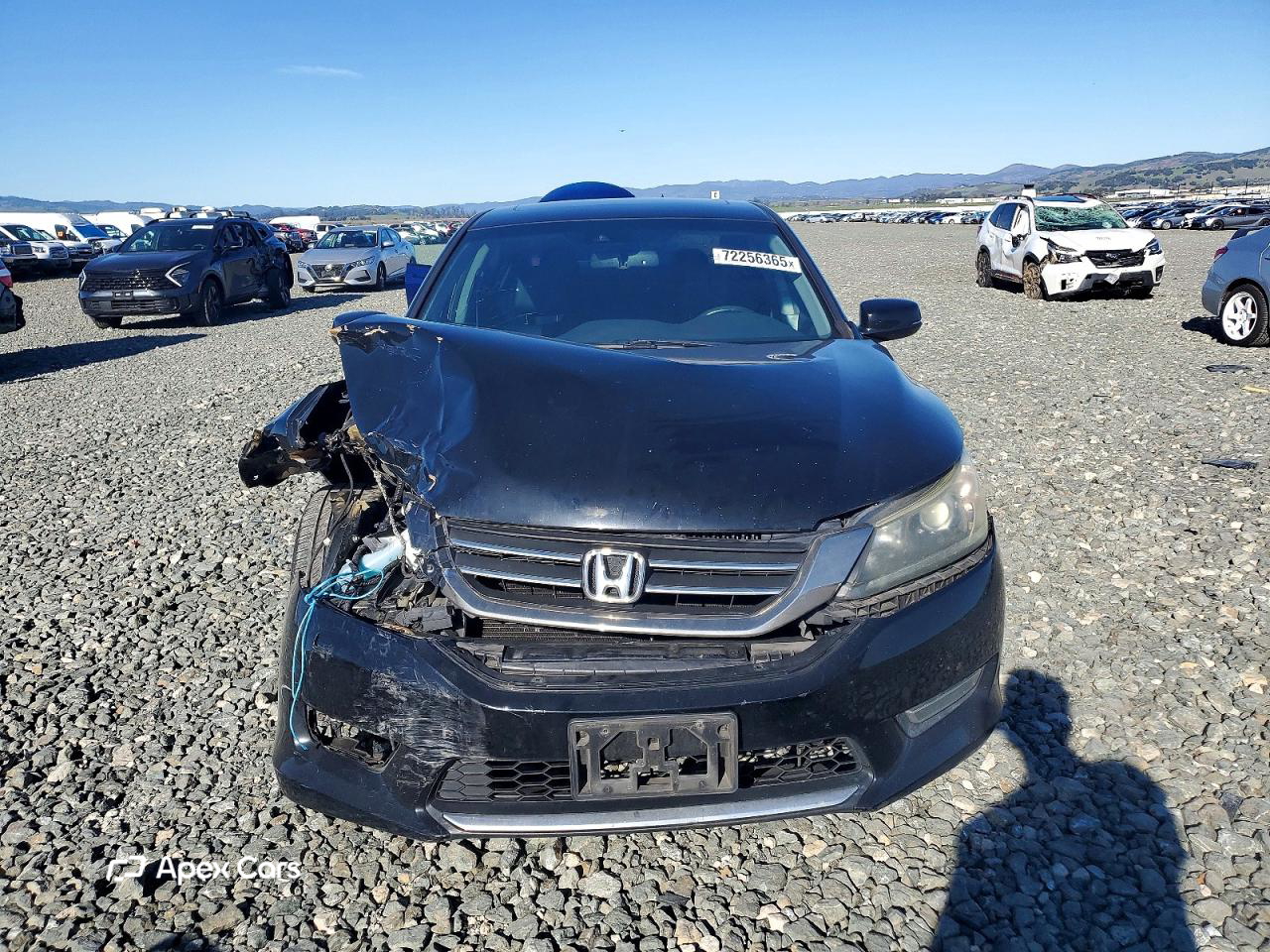 Honda Accord 2013