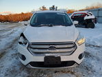 Ford Escape 2019