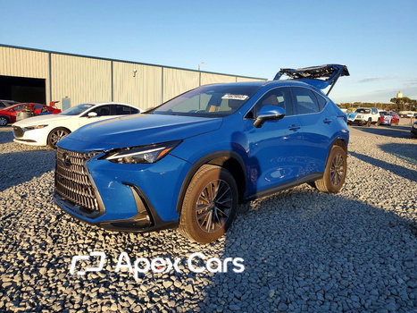 Lexus NX 2025 - Zdjęcie 1 z 14