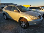 Lexus RX 2009