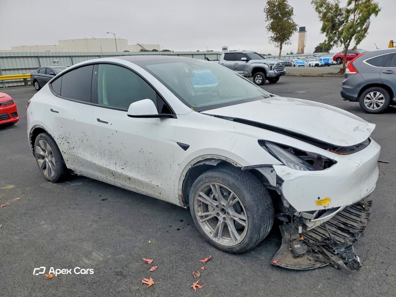 Tesla Model Y 2021