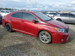 Lexus HS 2010