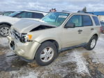 Ford Escape 2010