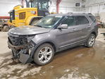 Ford Explorer 2013