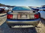 Ford Mustang 2002