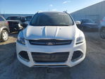 Ford Escape 2016
