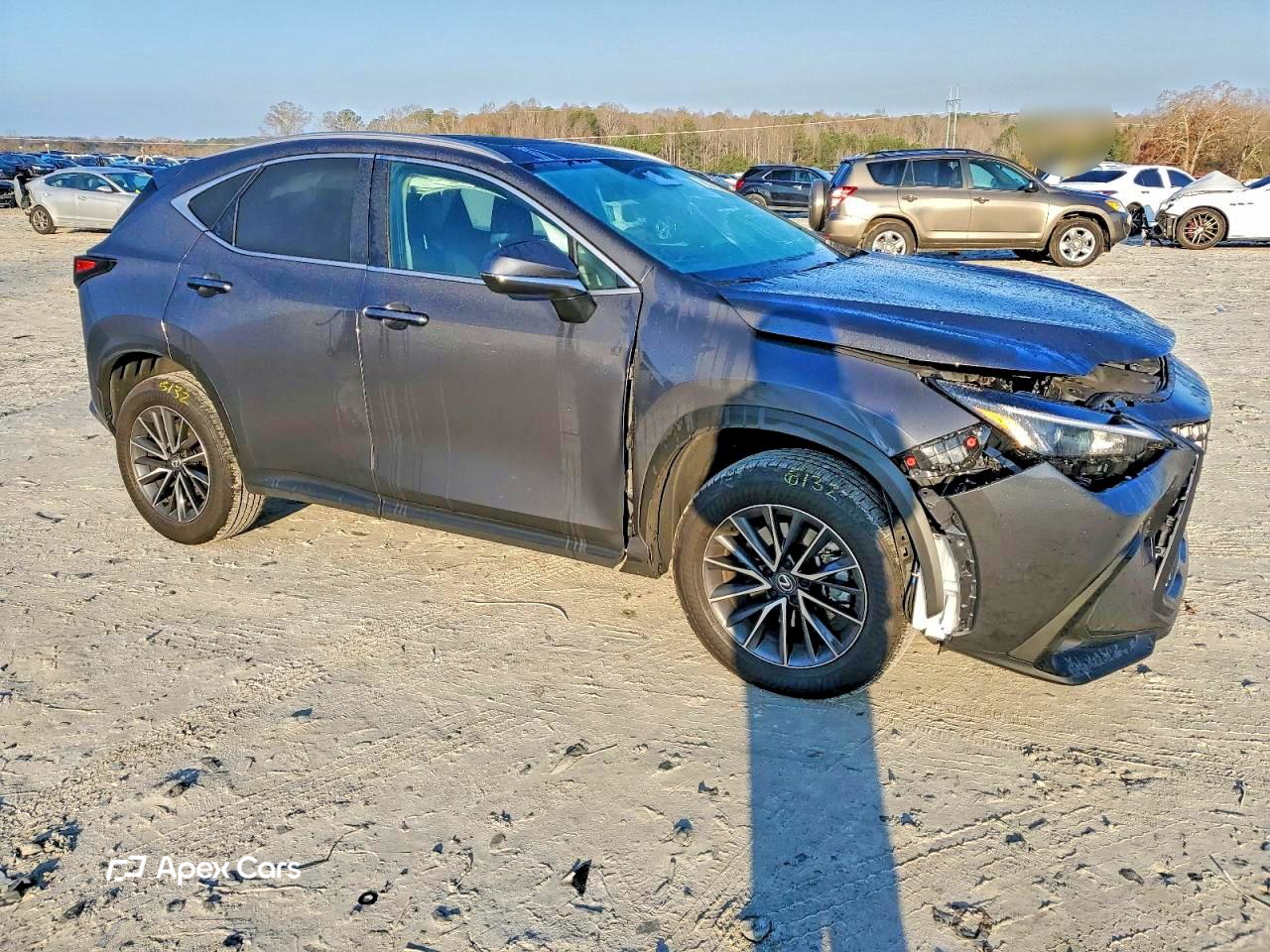 Lexus NX 2025
