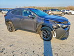 Lexus NX 2025