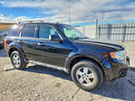 Ford Escape 2012