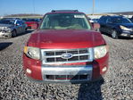 Ford Escape 2012