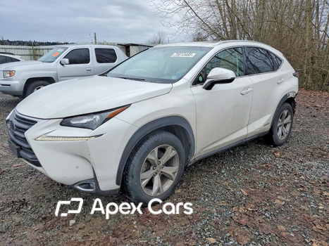 Lexus NX 2017 - Image 1 of 14