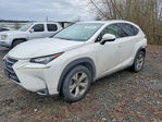 Lexus NX 2017