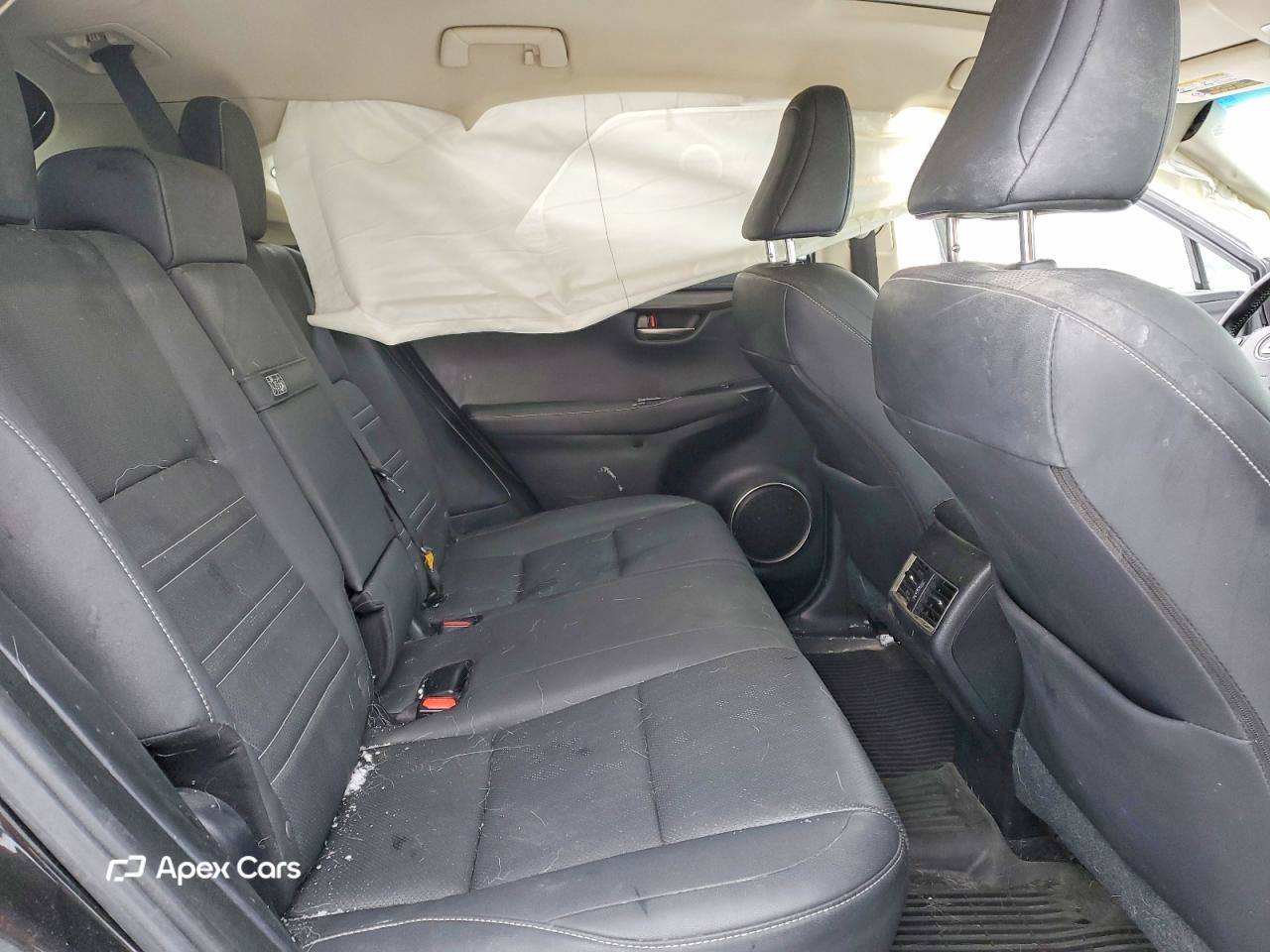 Lexus NX 2019