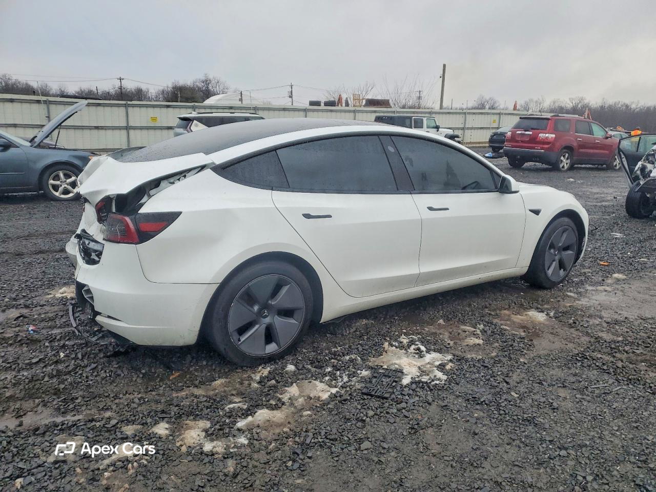 Tesla Model 3 2023