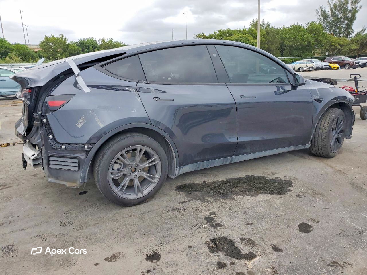 Tesla Model Y 2024