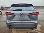 Lexus NX 2021