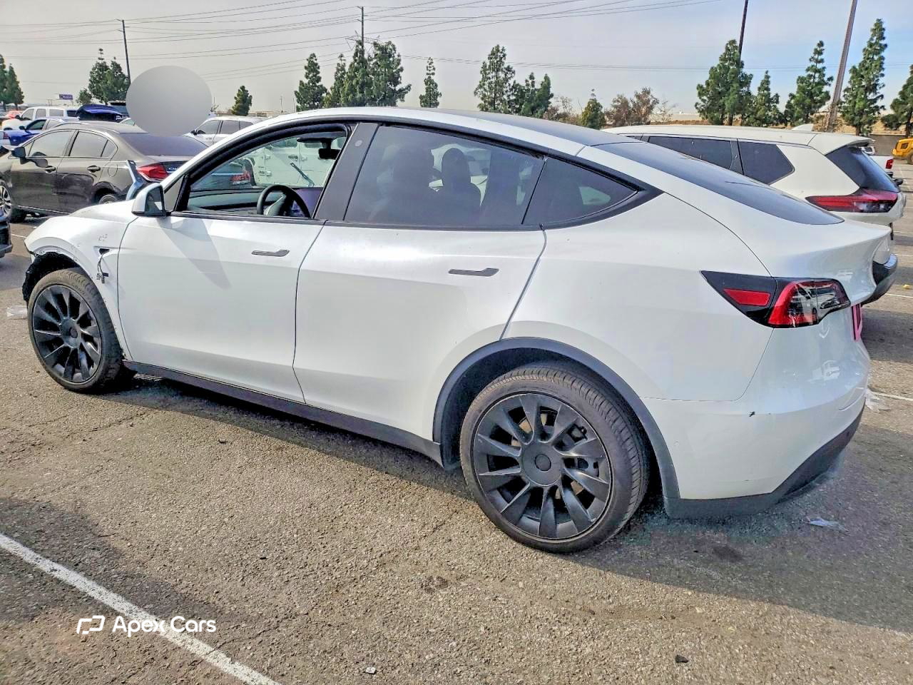Tesla Model Y 2020