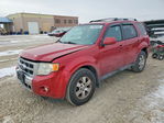 Ford Escape 2010