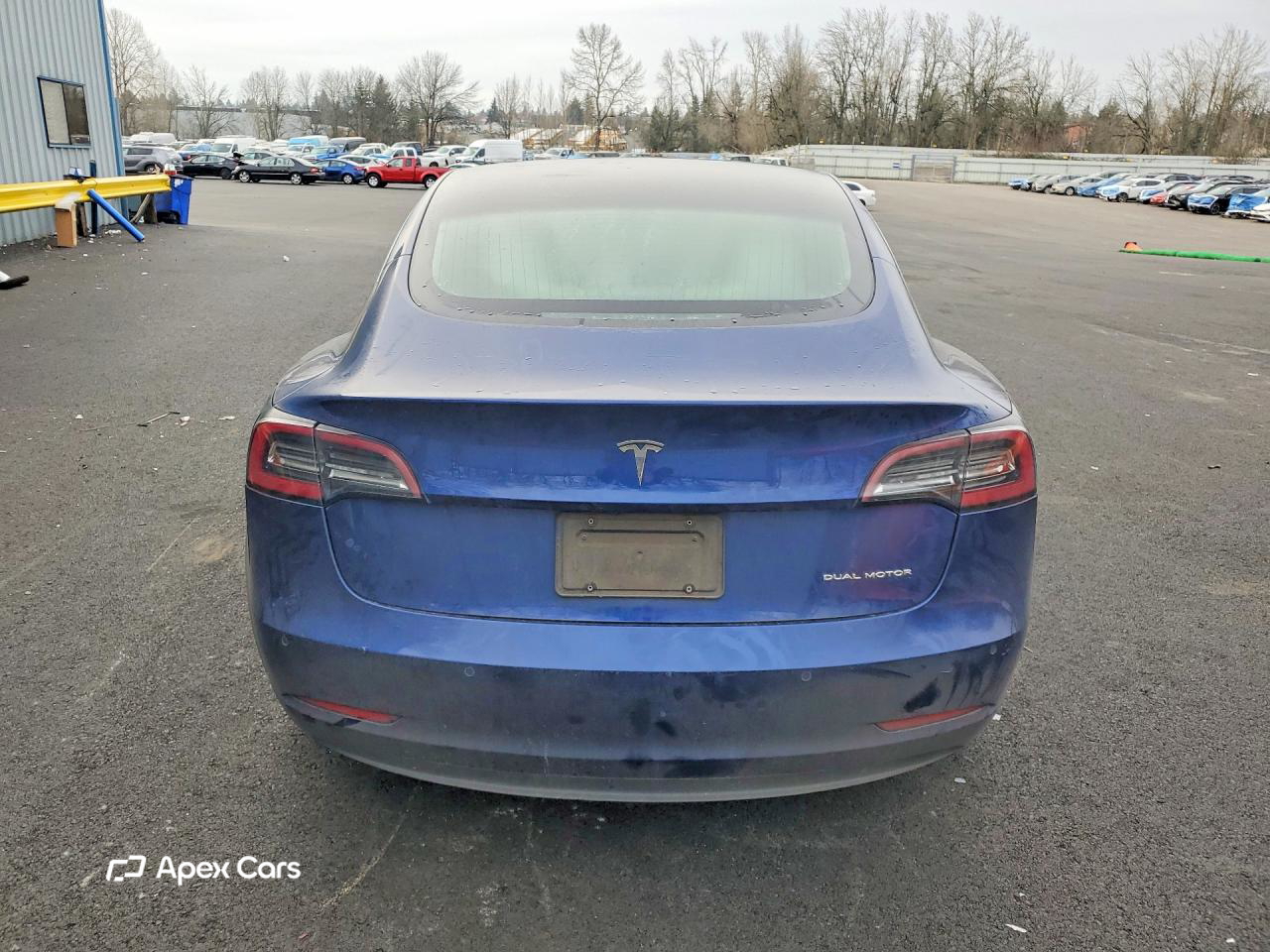Tesla Model 3 2019