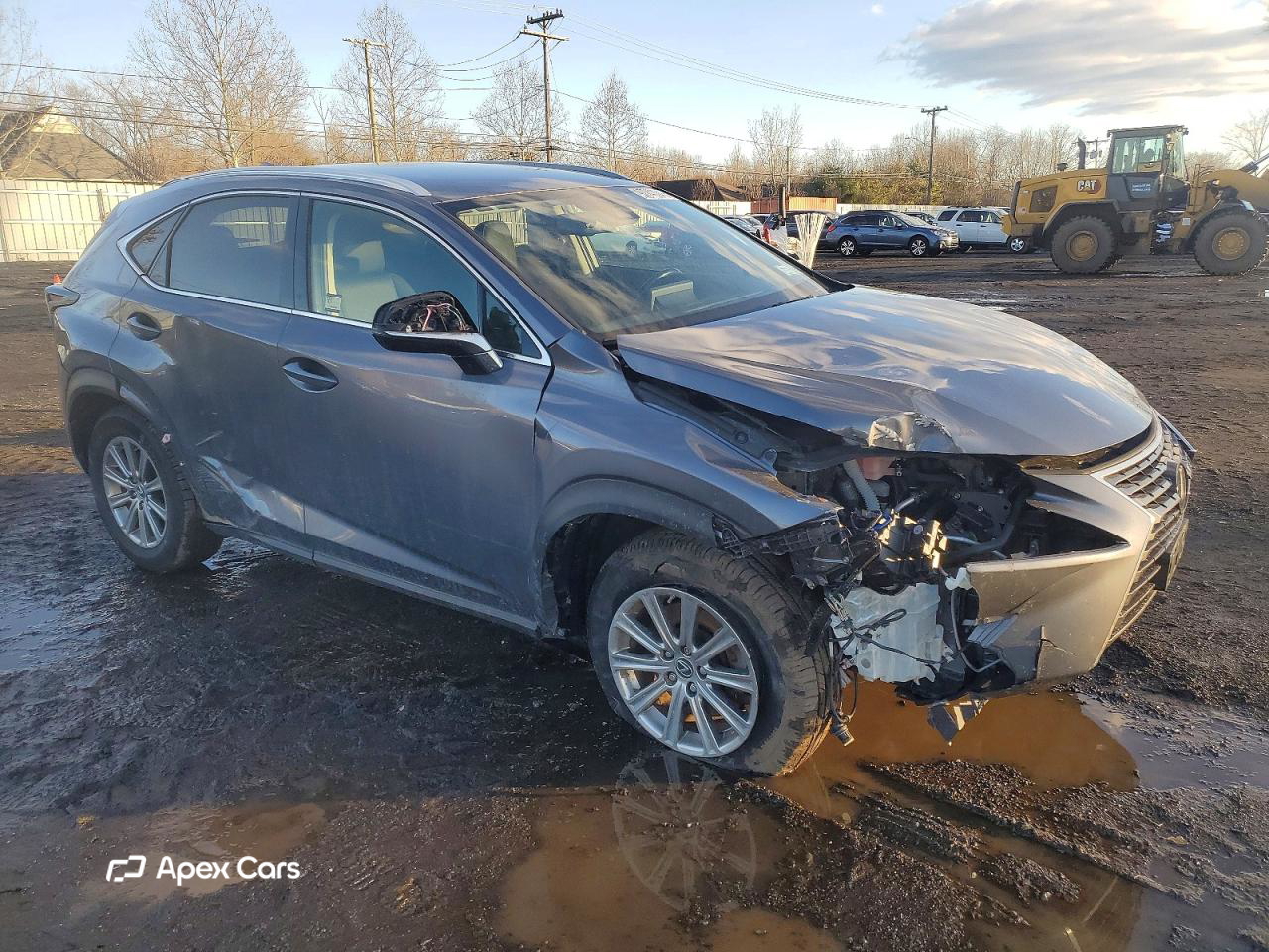 Lexus NX 2020