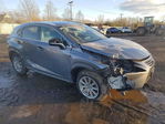 Lexus NX 2020