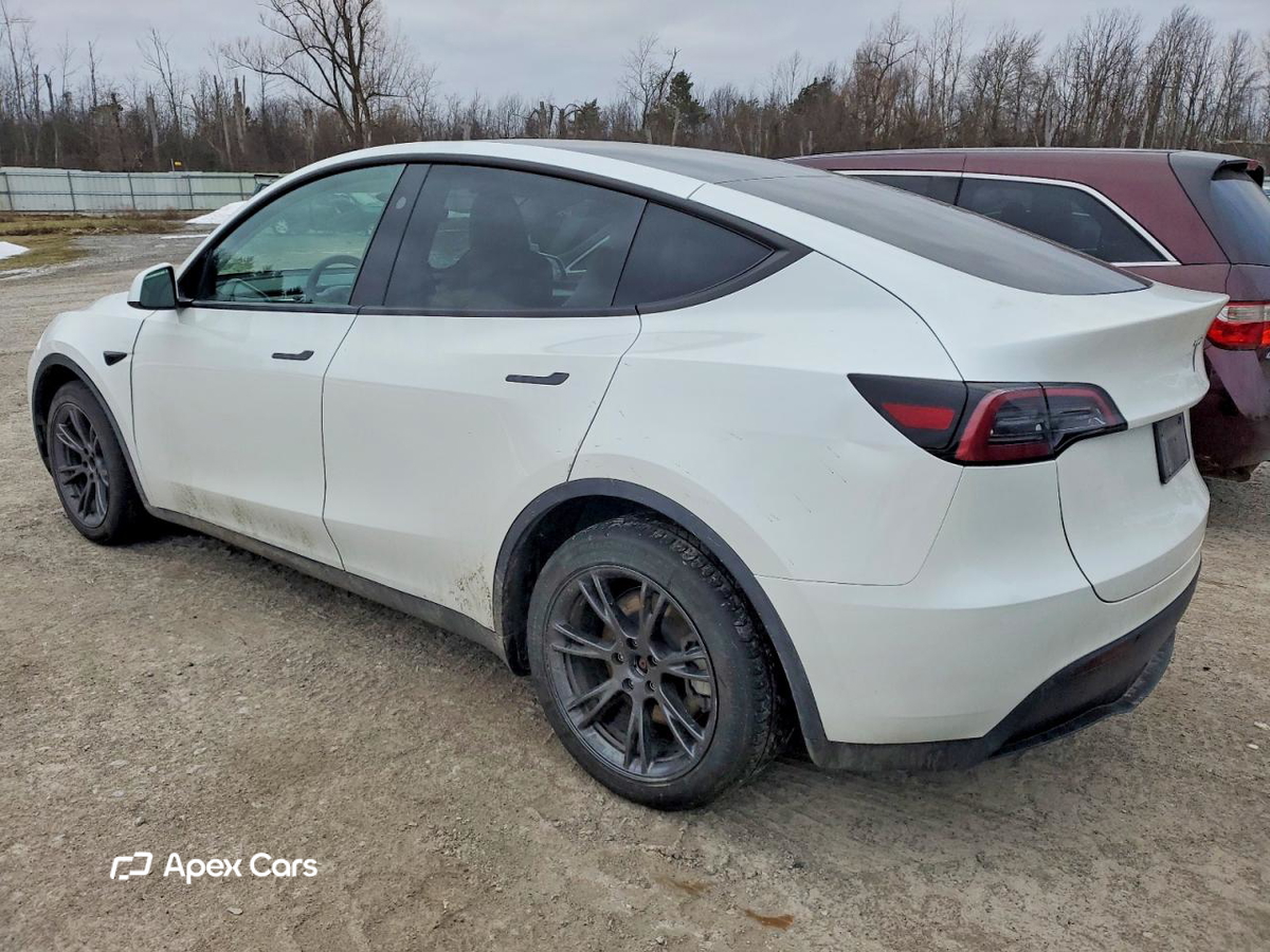 Tesla Model Y 2024
