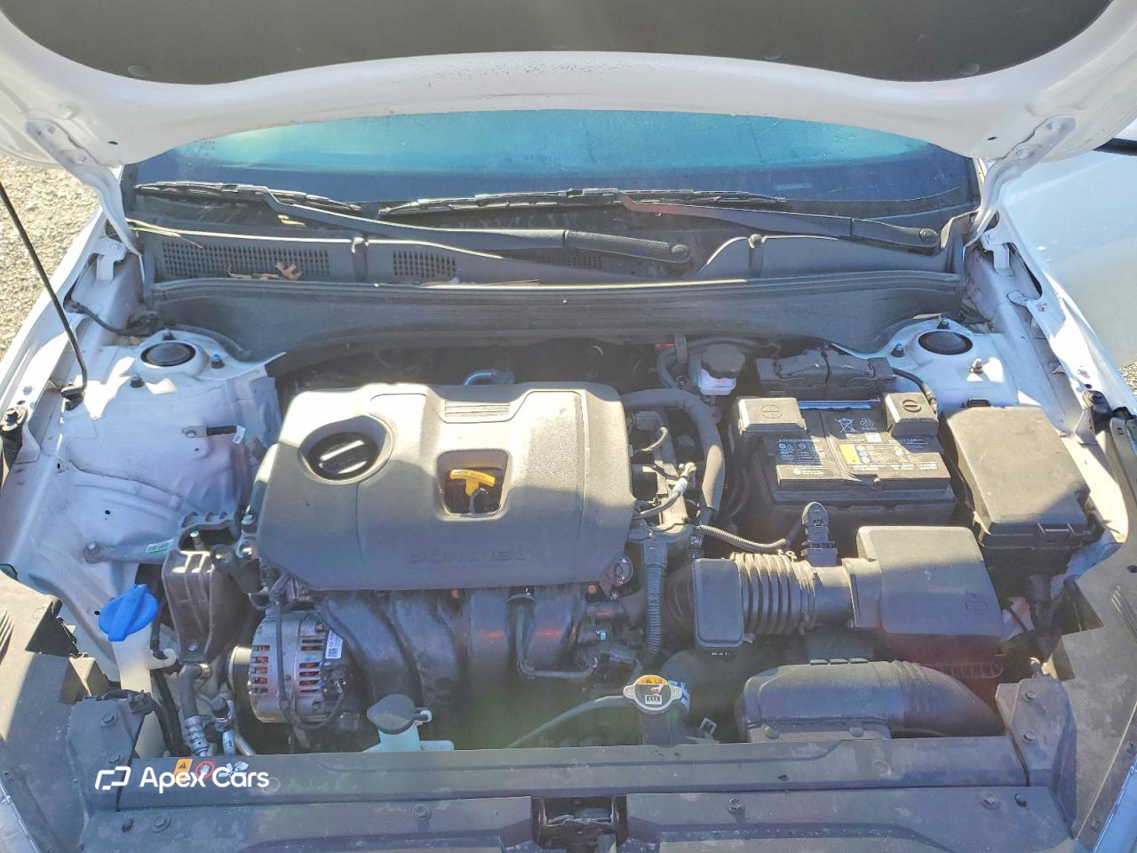 Kia Forte 2024