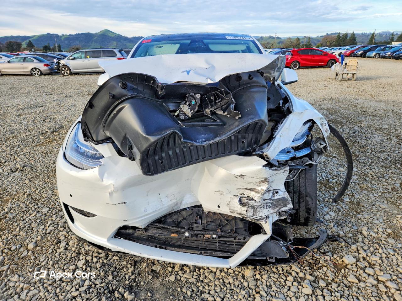 Tesla Model Y 2021