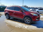 Ford Escape 2013