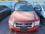 Ford Escape 2012