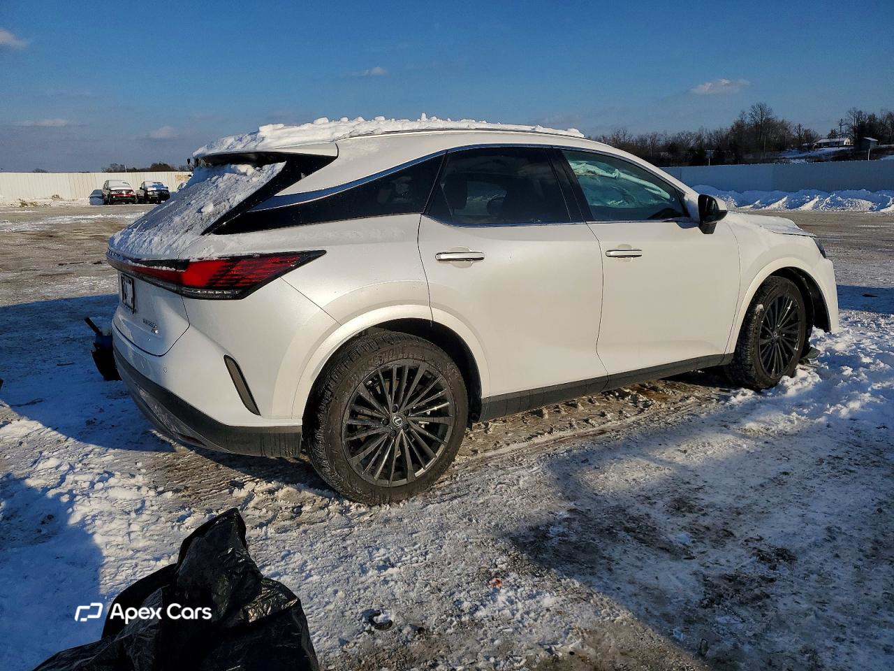 Lexus RX 2025