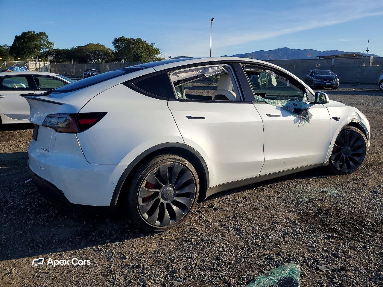 Tesla Model Y 2022