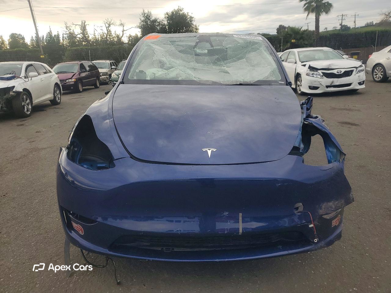 Tesla Model Y 2025