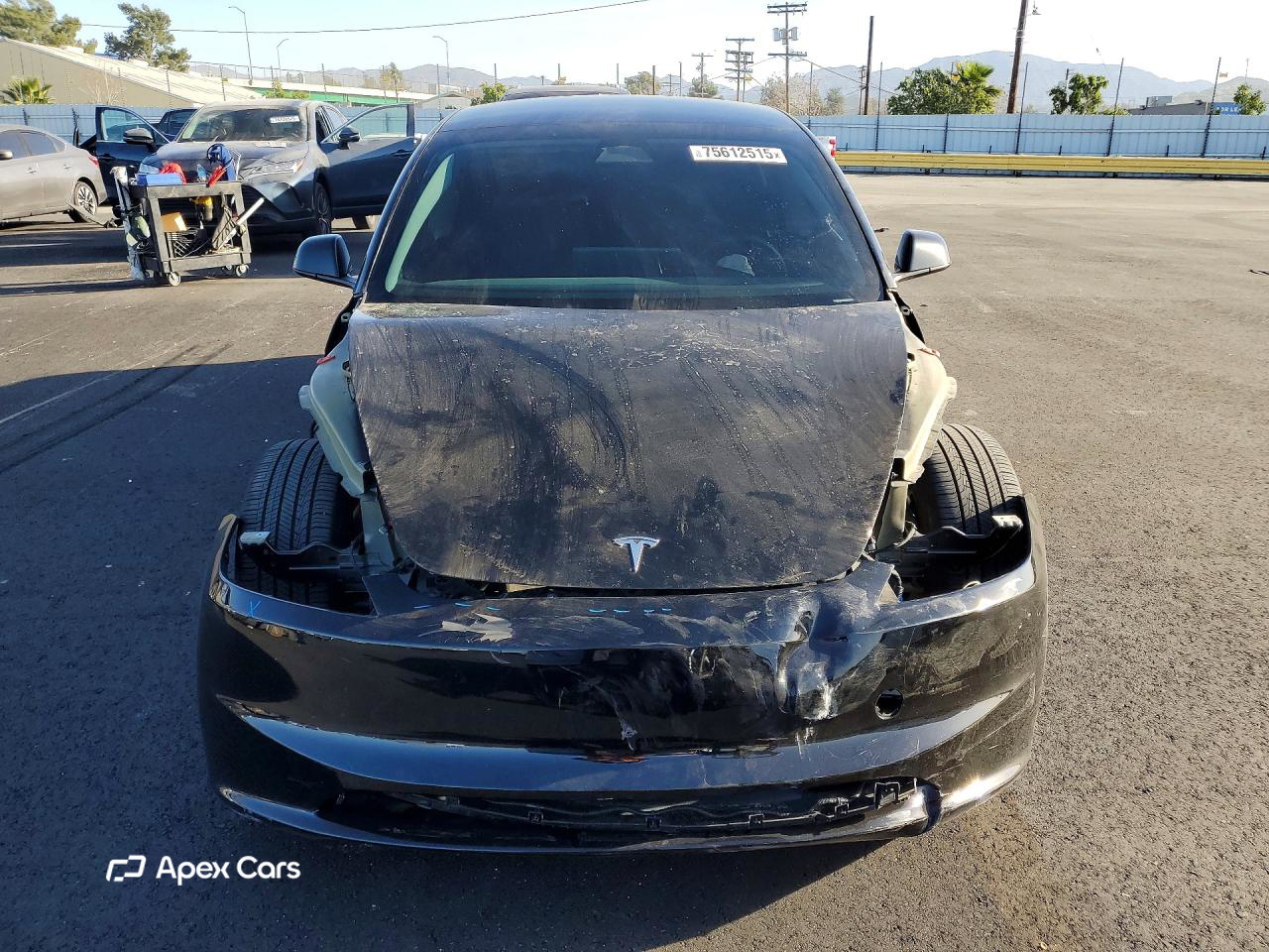 Tesla Model 3 2025
