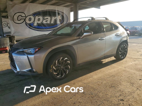 Lexus UX 2020 - Zdjęcie 1 z 14