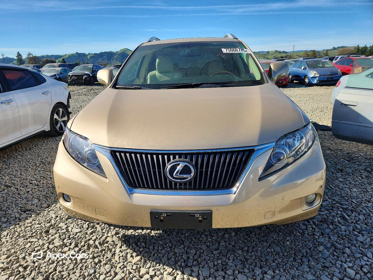 Lexus RX 2010