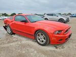 Ford Mustang 2013