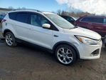 Ford Escape 2015