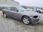 Dodge Charger 2011