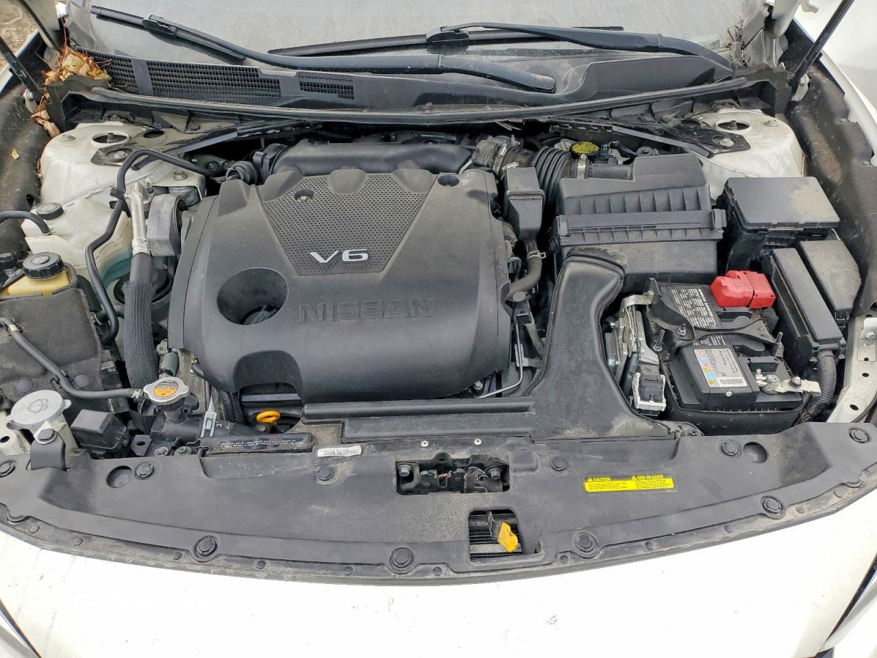 Nissan Maxima 2019