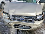 Ford Escape 2010