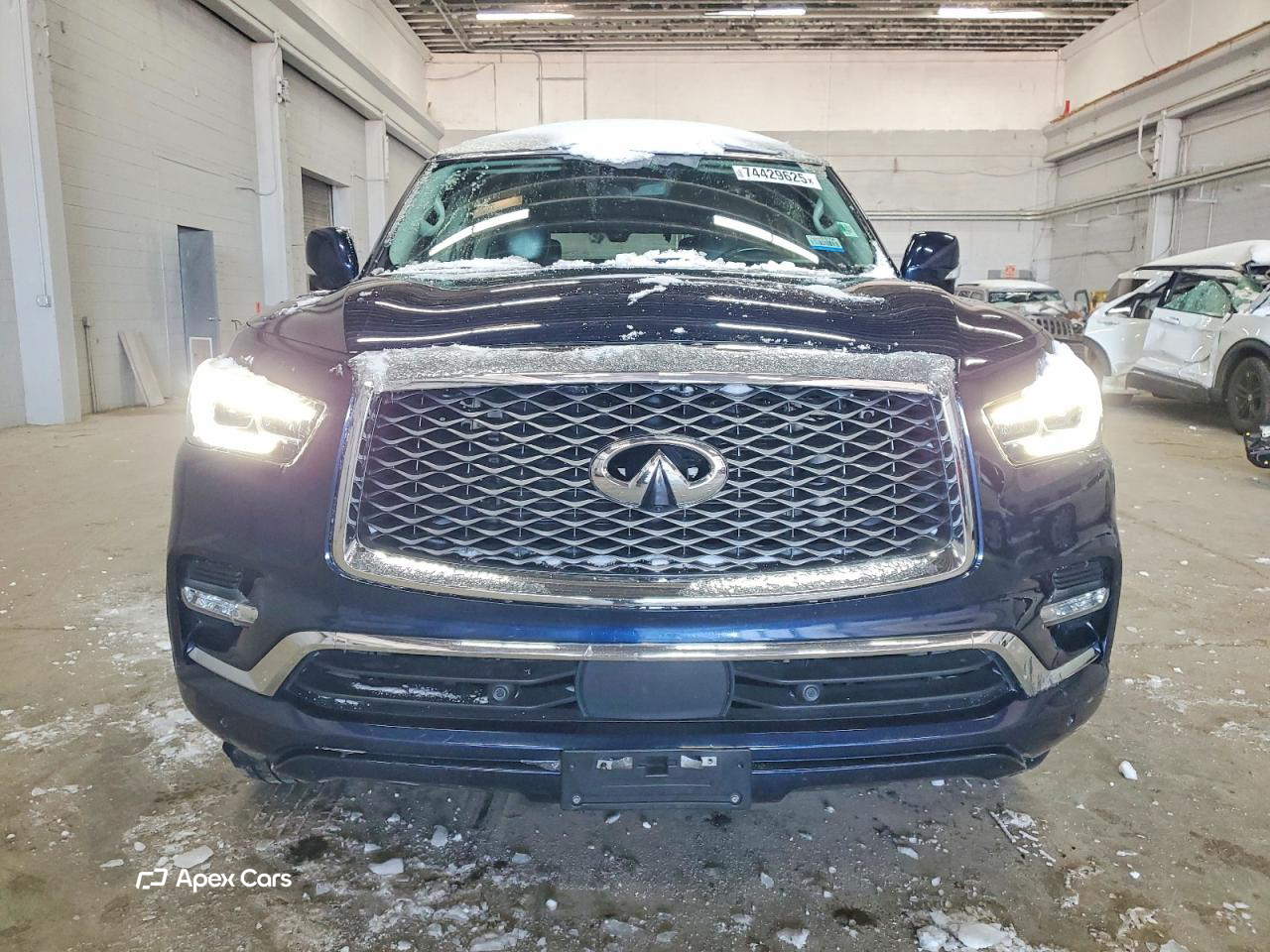 Infiniti QX80 2021