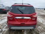 Ford Escape 2014