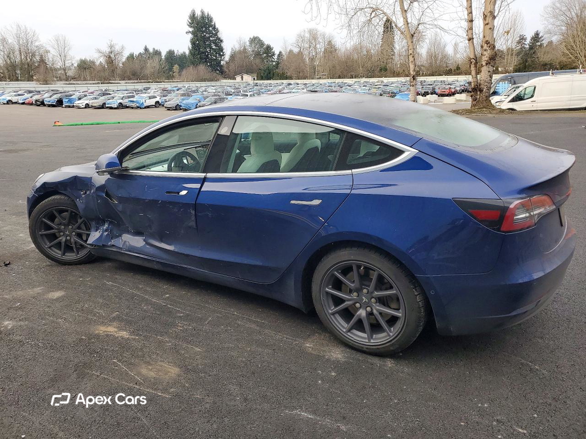 Tesla Model 3 2019