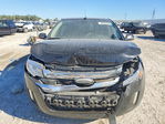 Ford Edge 2012