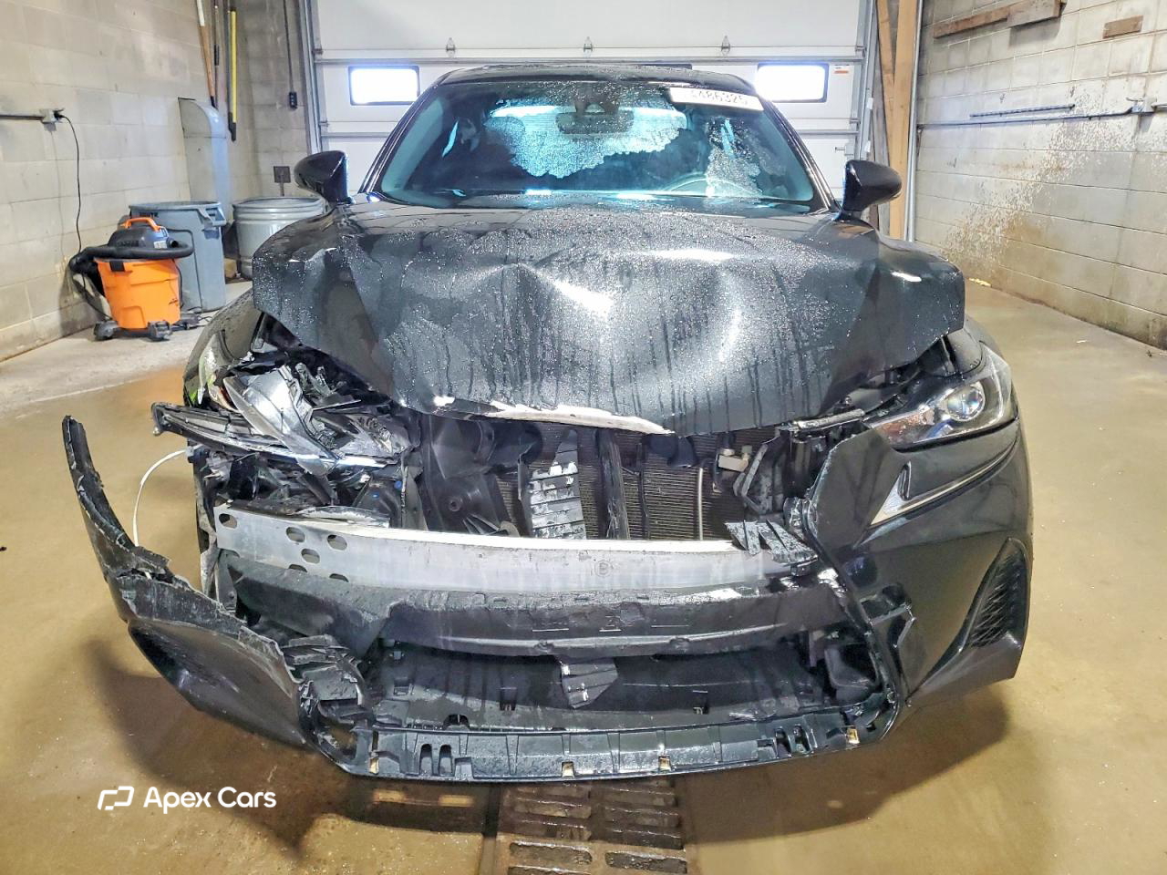 Lexus IS 2019