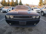 Dodge Challenger 2013