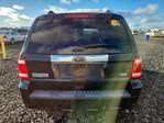 Ford Escape 2011