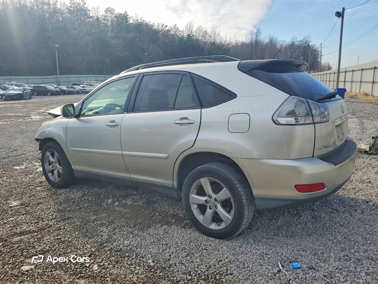 Lexus RX 2004