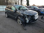 Ford Escape 2019